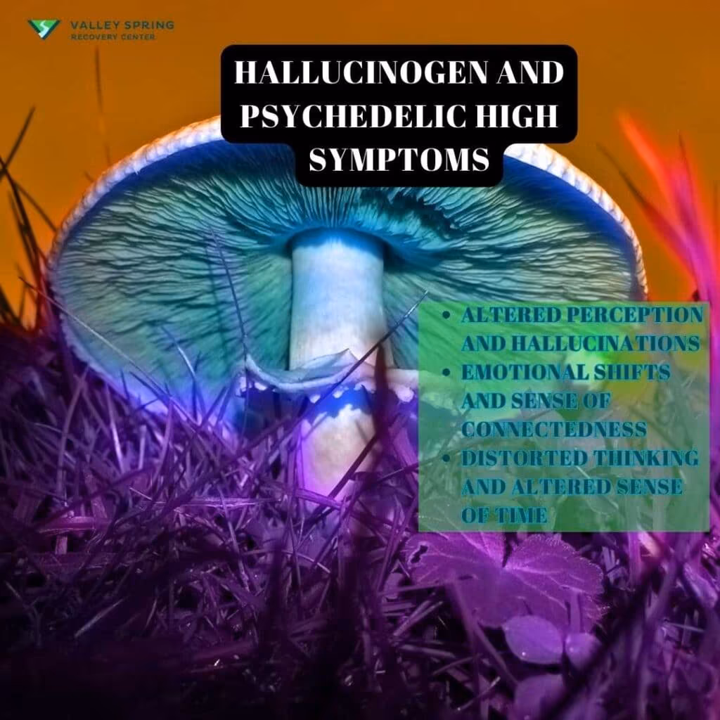 Hallucinogen and Psychedelic High