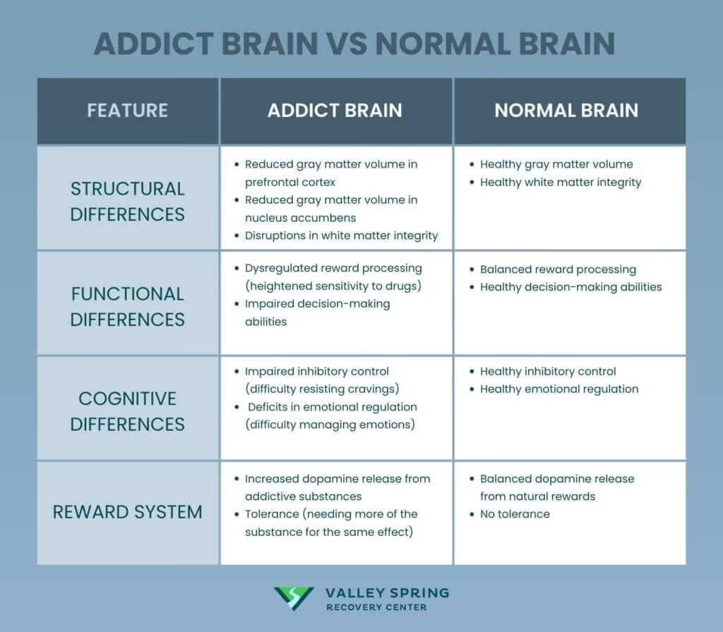 Addiction And The Brain: 14 Neurotransmitters Involved In Addiction Addiction And The Brain: 14 Neurotransmitters Involved In Addiction