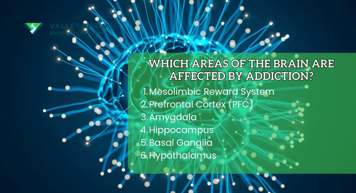 Areas of the Brain are Affected by Addiction