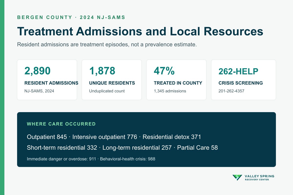 Bergen County substance use disorder treatment data showing 2,890 admissions, 1,878 residents, levels of care, and the 262-HELP crisis screening number