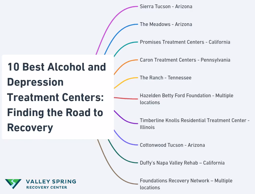 Best Alcohol and Depression Treatment Centers in united states infographic