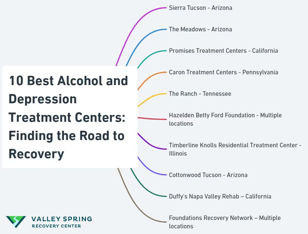 Best Alcohol and Depression Treatment Centers in united states infographic