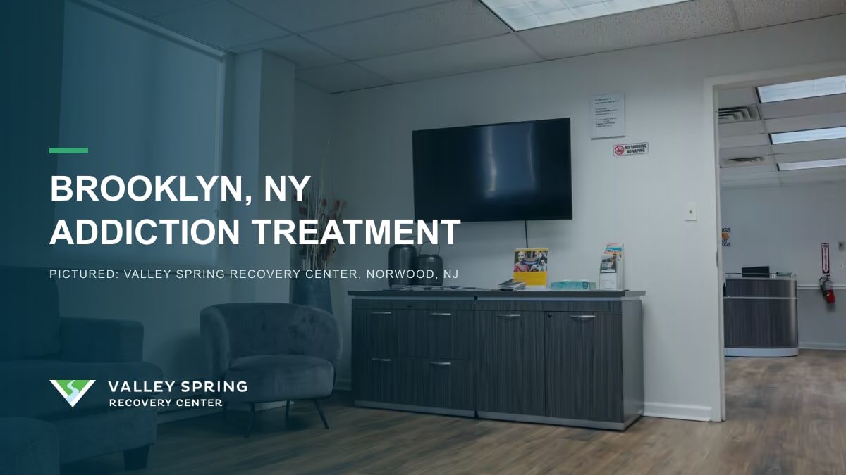 Lounge with gray armchairs and a wall television inside Valley Spring Recovery Center in Norwood, New Jersey, branded for Brooklyn, New York addiction treatment access