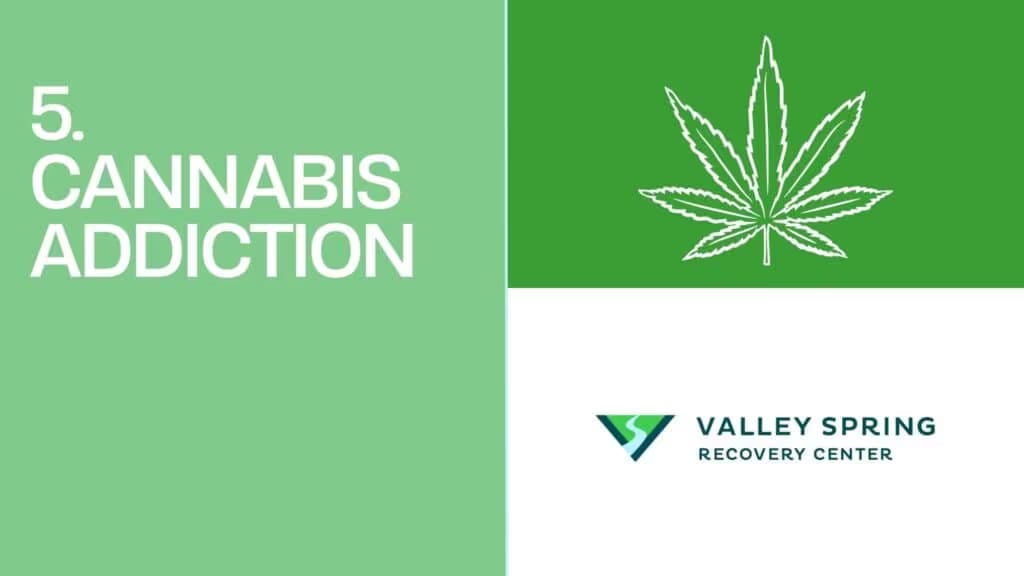 Cannabis Addiction statistics
