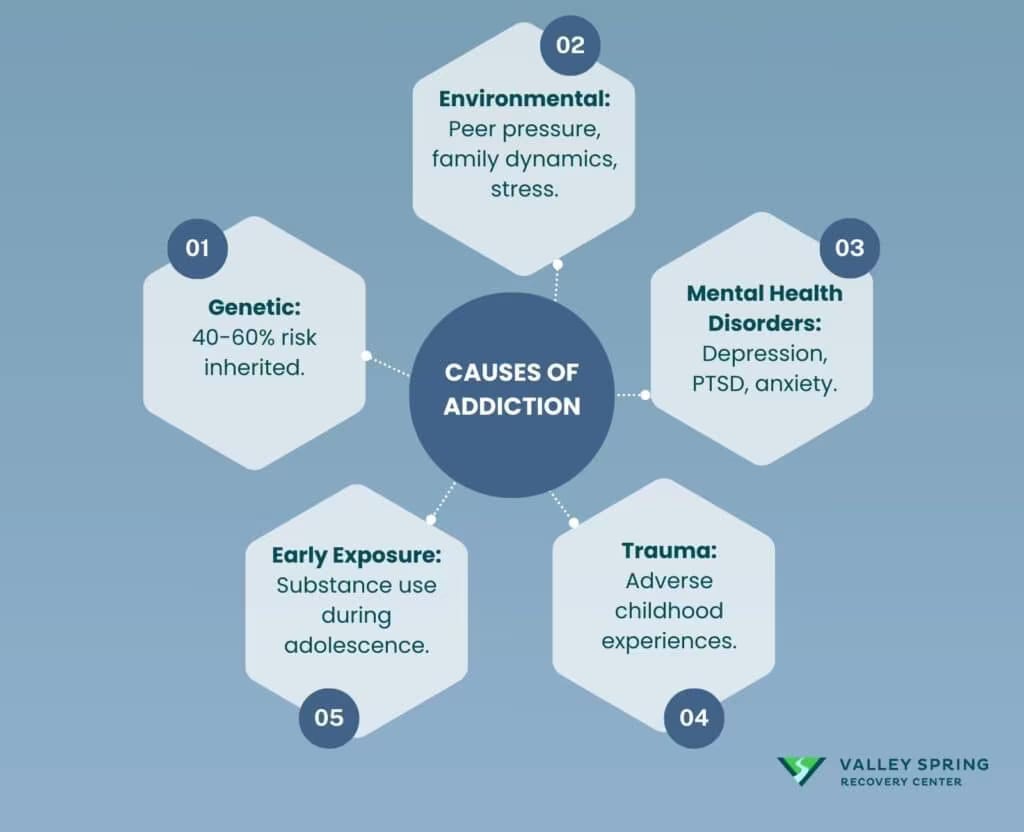 Causes of addiction across biological, environmental, and developmental risk factors