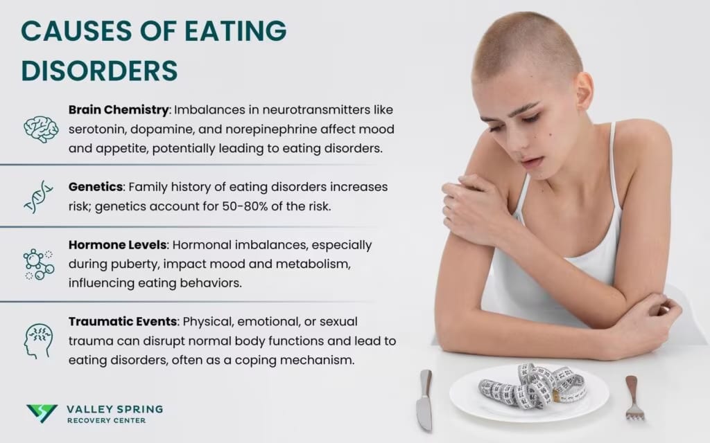 Causes of eating disorders spanning brain chemistry, genetics, hormone levels, and traumatic events