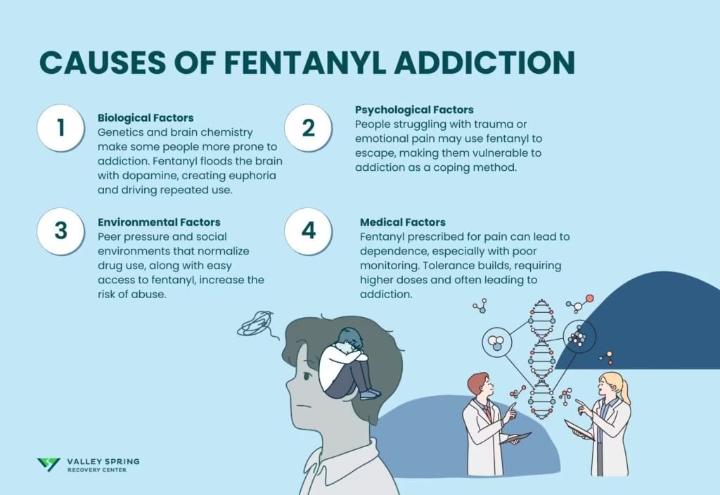 Opioid exposure, reinforcement, tolerance, withdrawal, pain, mental health, and illicit supply factors associated with fentanyl use disorder