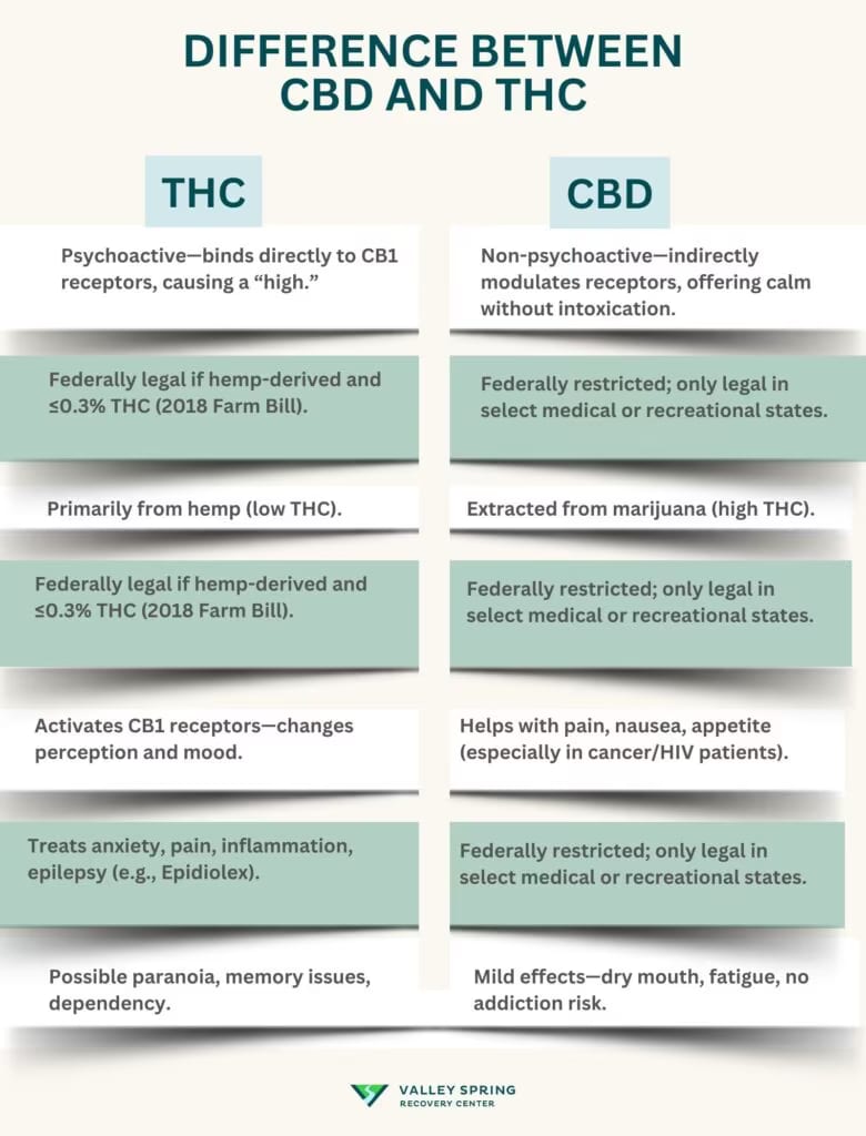 CBD Vs. THC: What Is The Difference?