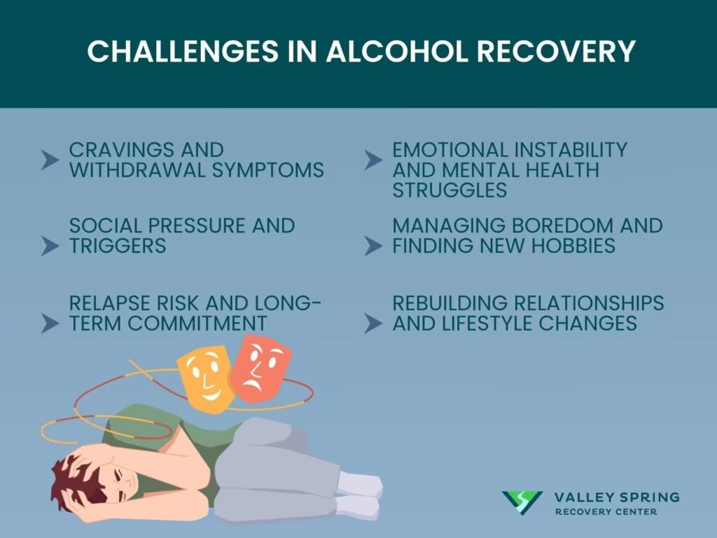 Challenges in Alcohol Recovery