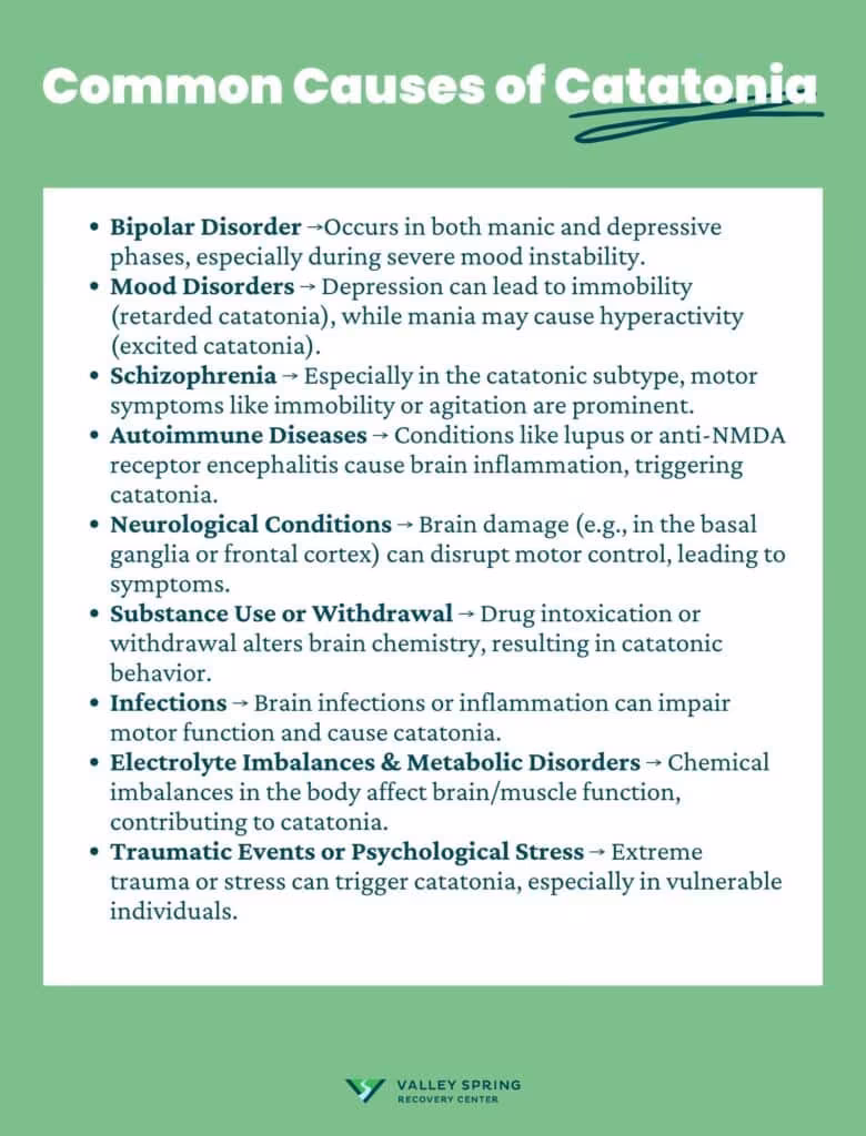 Common Causes of Catatonia