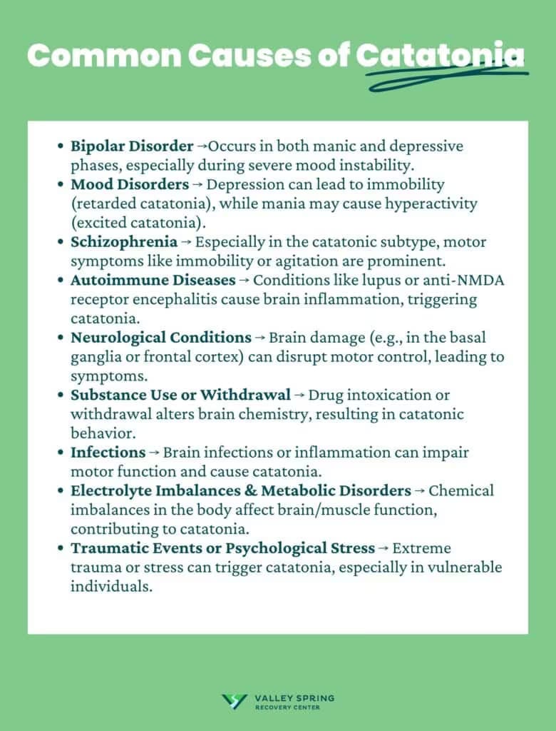 Documented causes of catatonia across psychiatric, neurologic, autoimmune, and substance-related categories