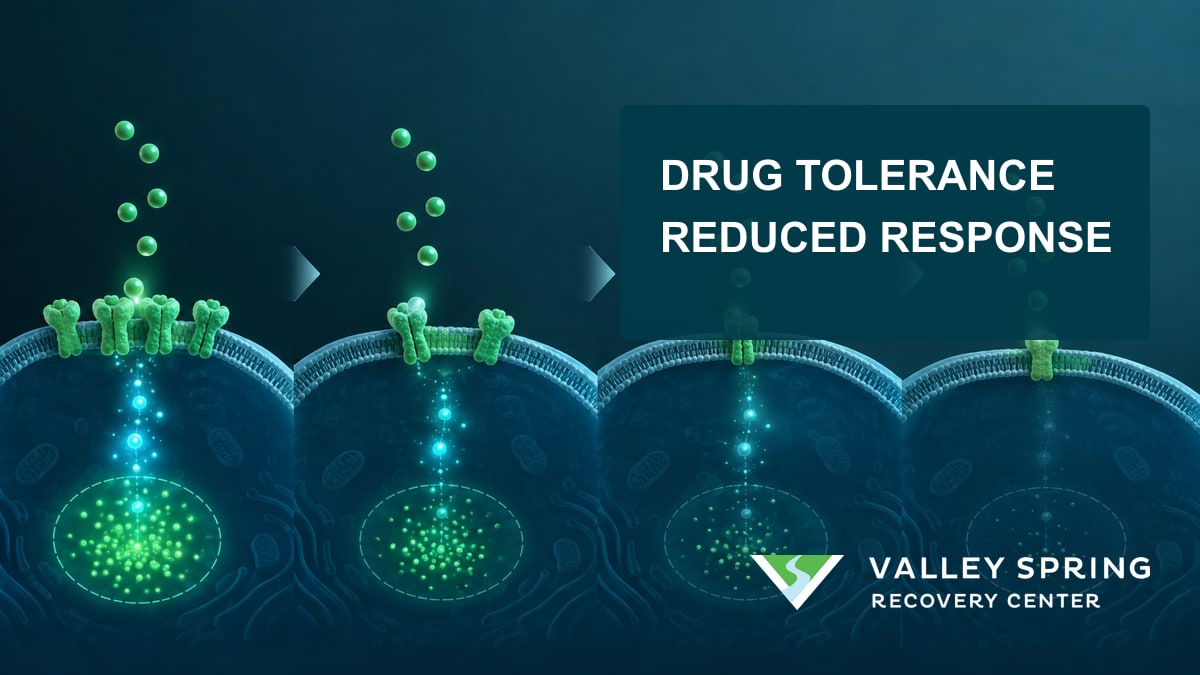 Repeated receptor signaling produces a progressively smaller cellular response, illustrating drug tolerance without depicting dependence