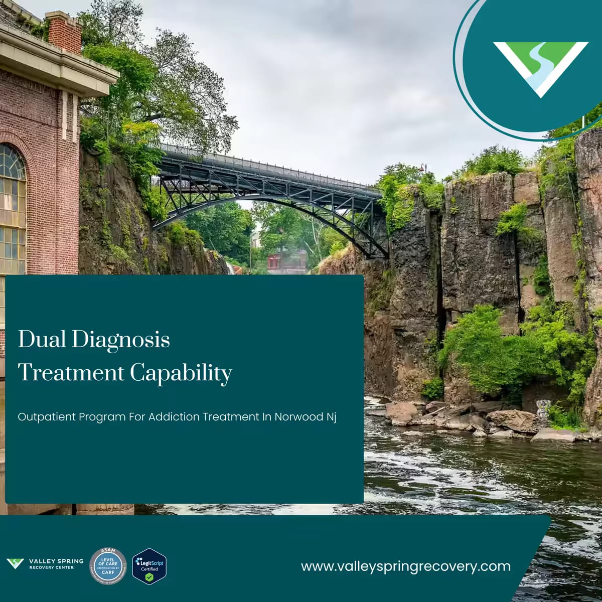 Integrated partial care plan covering a substance use disorder and a psychiatric diagnosis Integrated partial care plan covering a substance use disorder and a psychiatric diagnosis