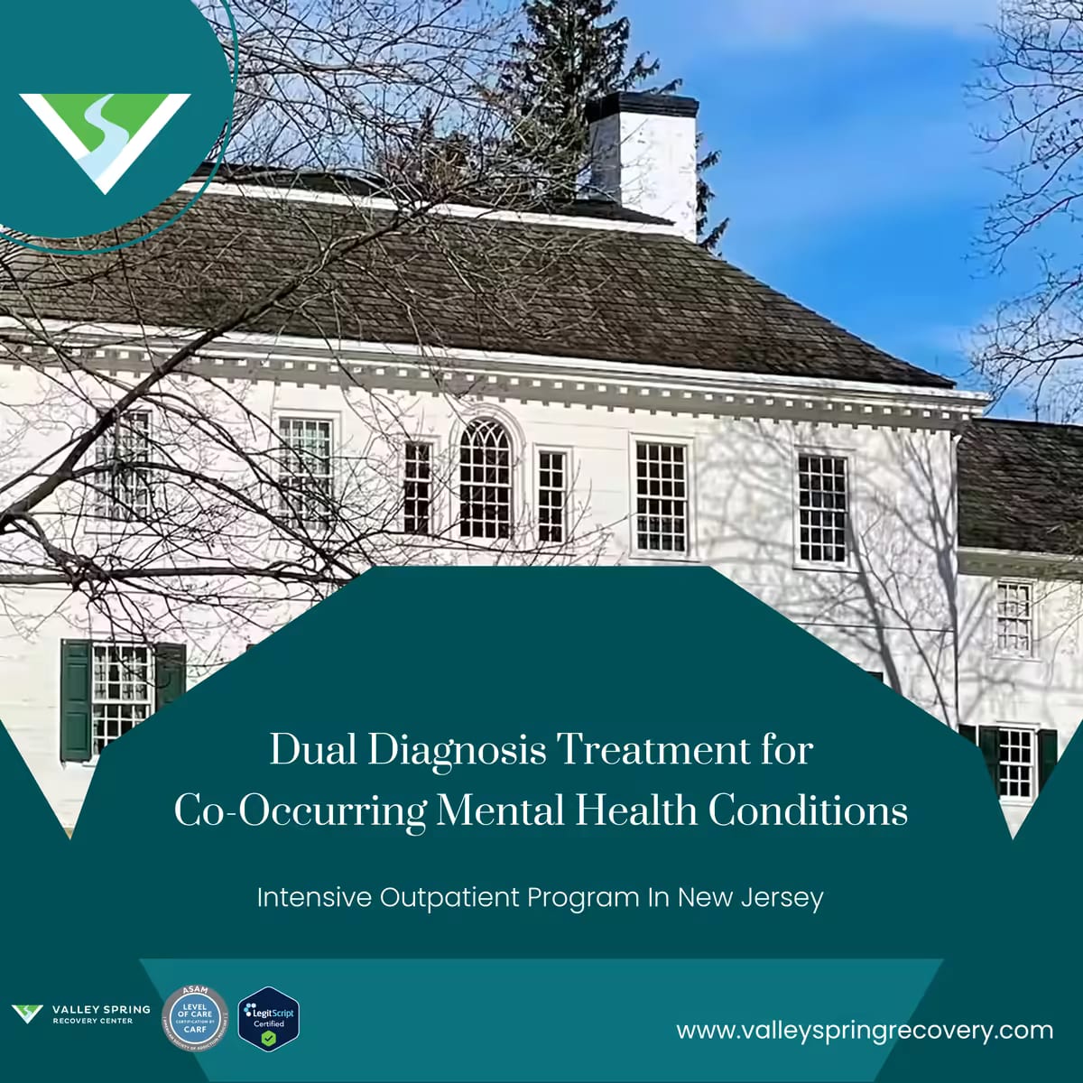 Integrated treatment plan covering a substance use disorder and a co-occurring psychiatric condition Integrated treatment plan covering a substance use disorder and a co-occurring psychiatric condition
