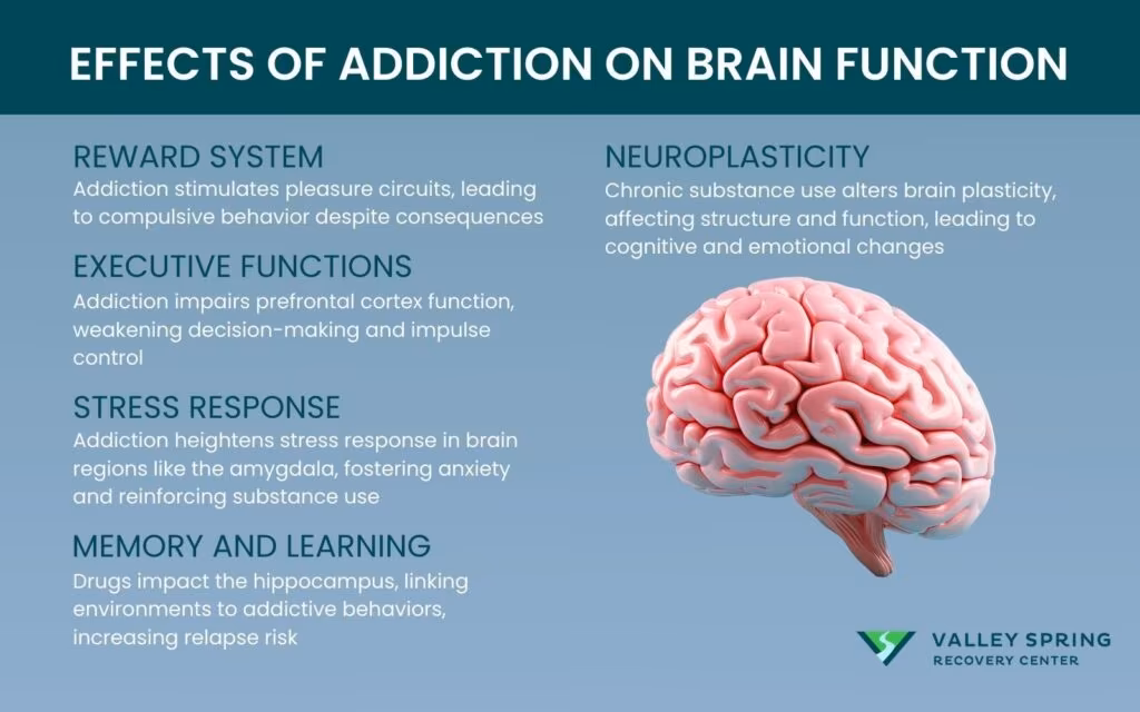 Effects Does Addiction Have On Brain Function infographic