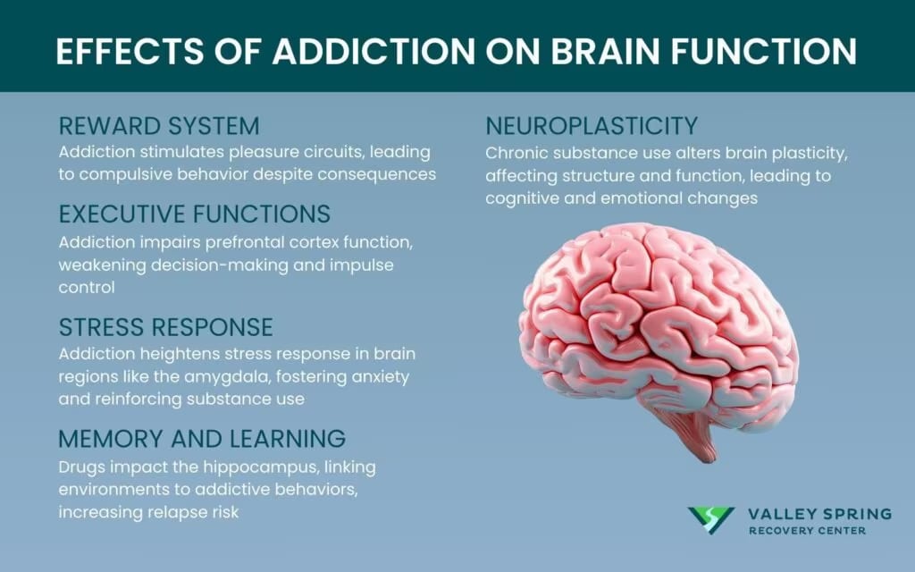 Infographic on the effects addiction has on brain function, reward, and executive control