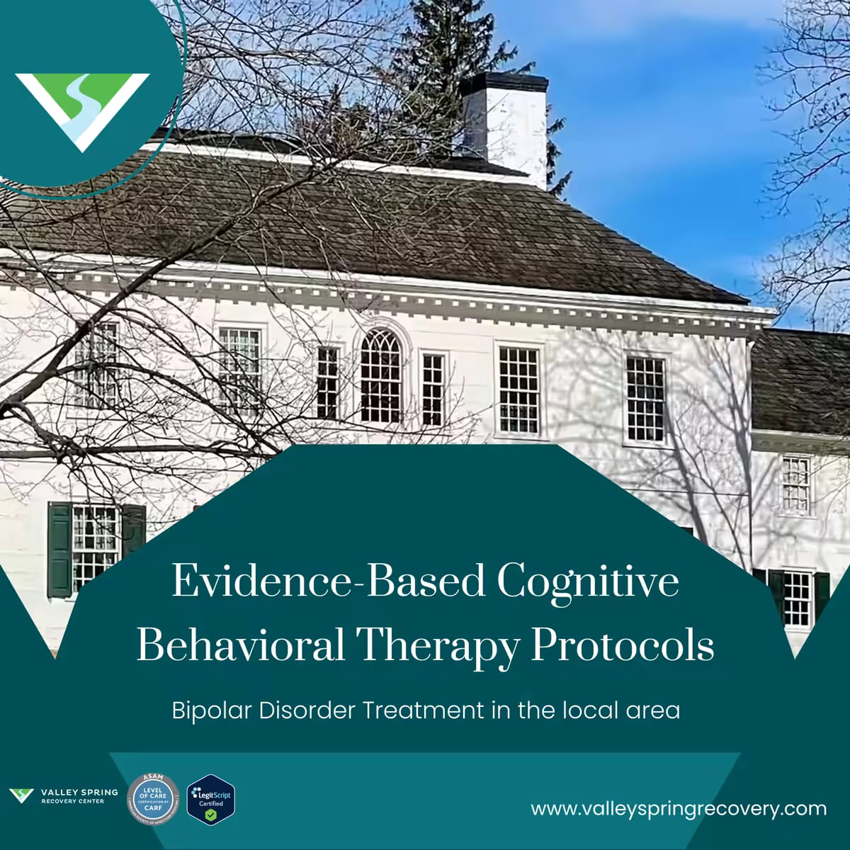 Bipolar-adapted cognitive behavioral therapy