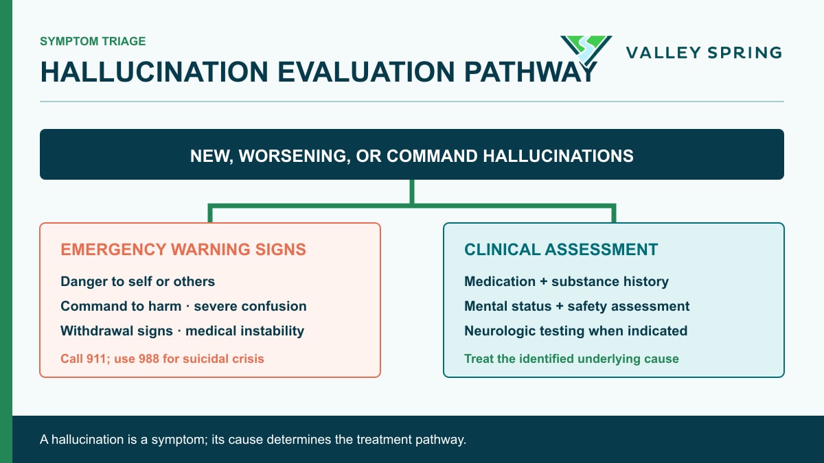 Clinical evaluation pathway for hallucinations Hallucination triage pathway separating emergency warning signs from psychiatric, substance, medication, and neurological assessment
