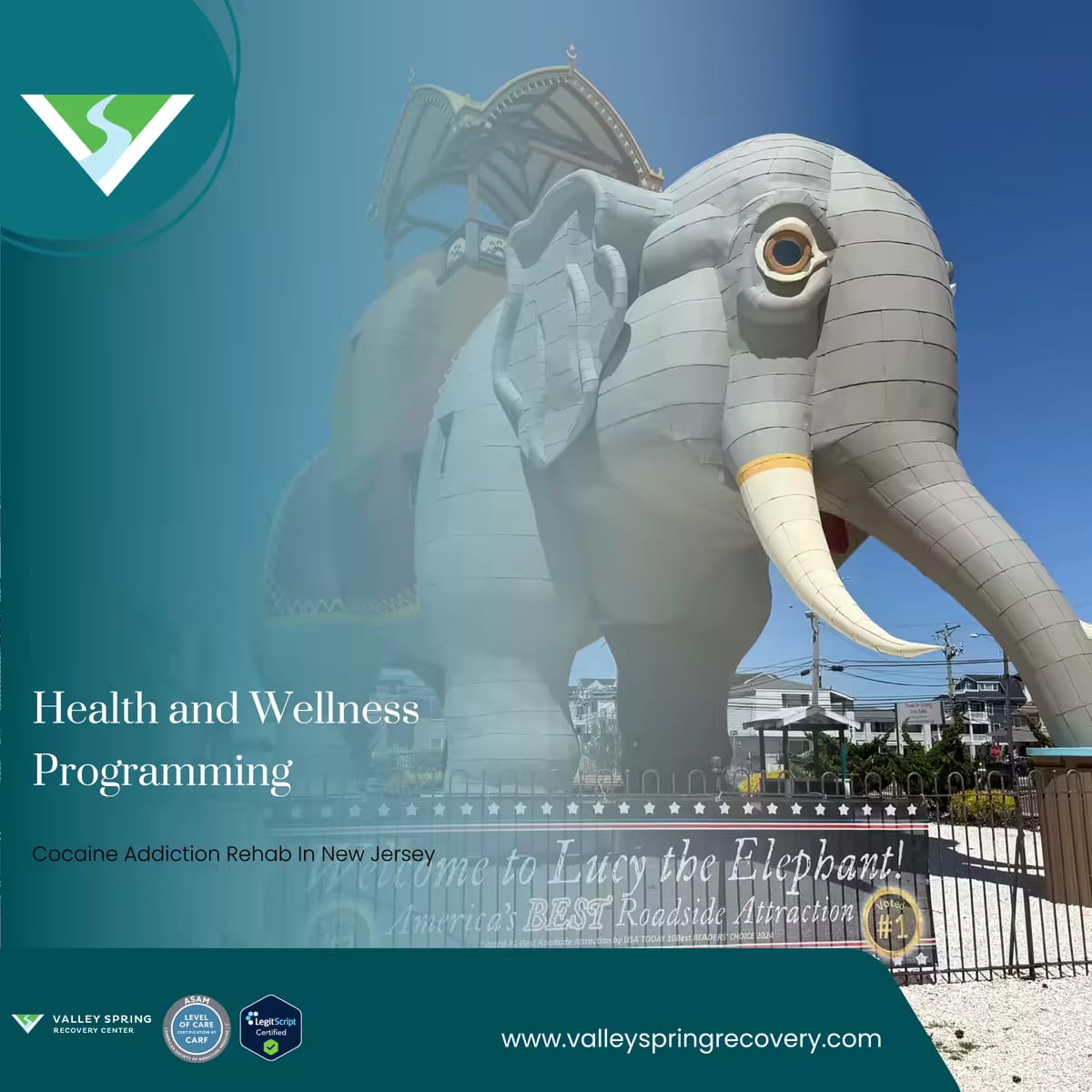 Health and wellness programming for cocaine addiction recovery Health and wellness programming for cocaine addiction recovery