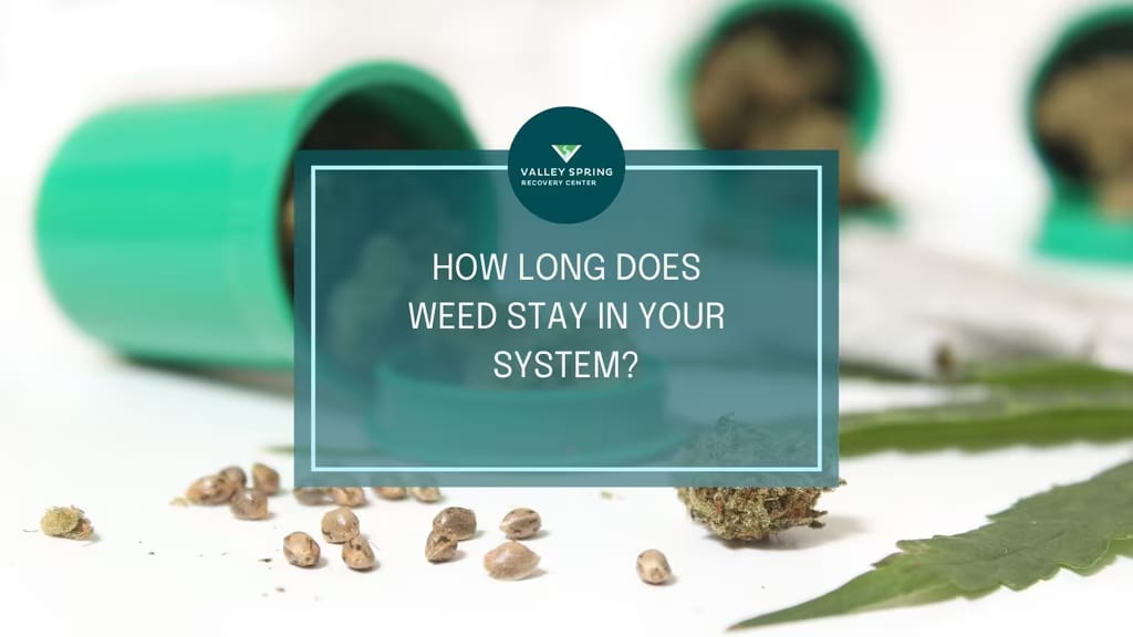 How Long Does Weed Stay in Your System? How Long Does Weed Stay in Your System?