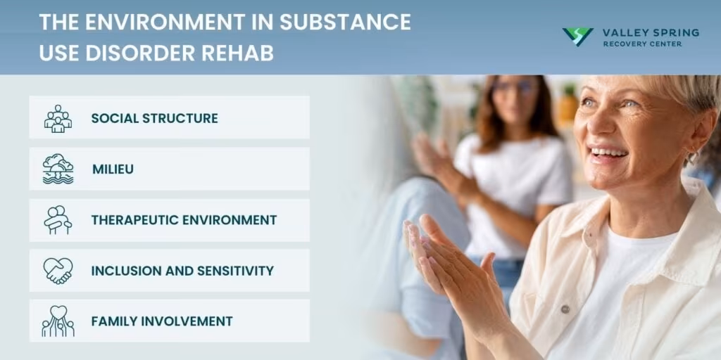 Infographic representing the different features of drug rehab centers