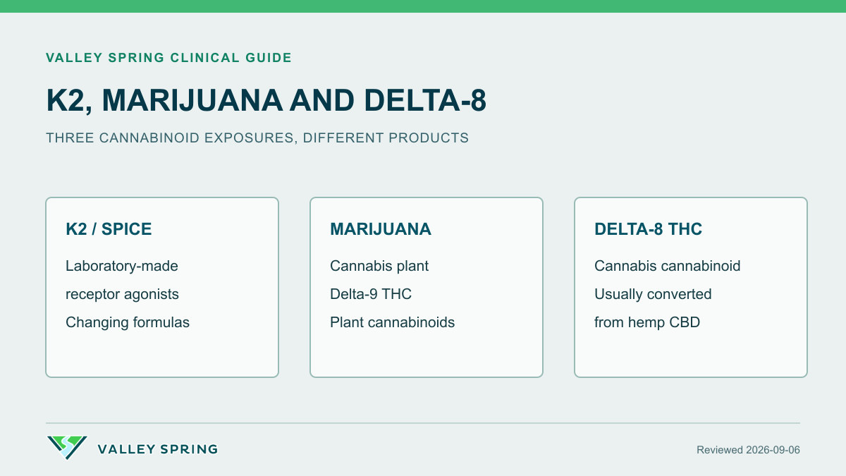 Comparison of laboratory-made K2 and Spice, plant marijuana with Delta-9 THC, and Delta-8 THC commonly converted from hemp CBD