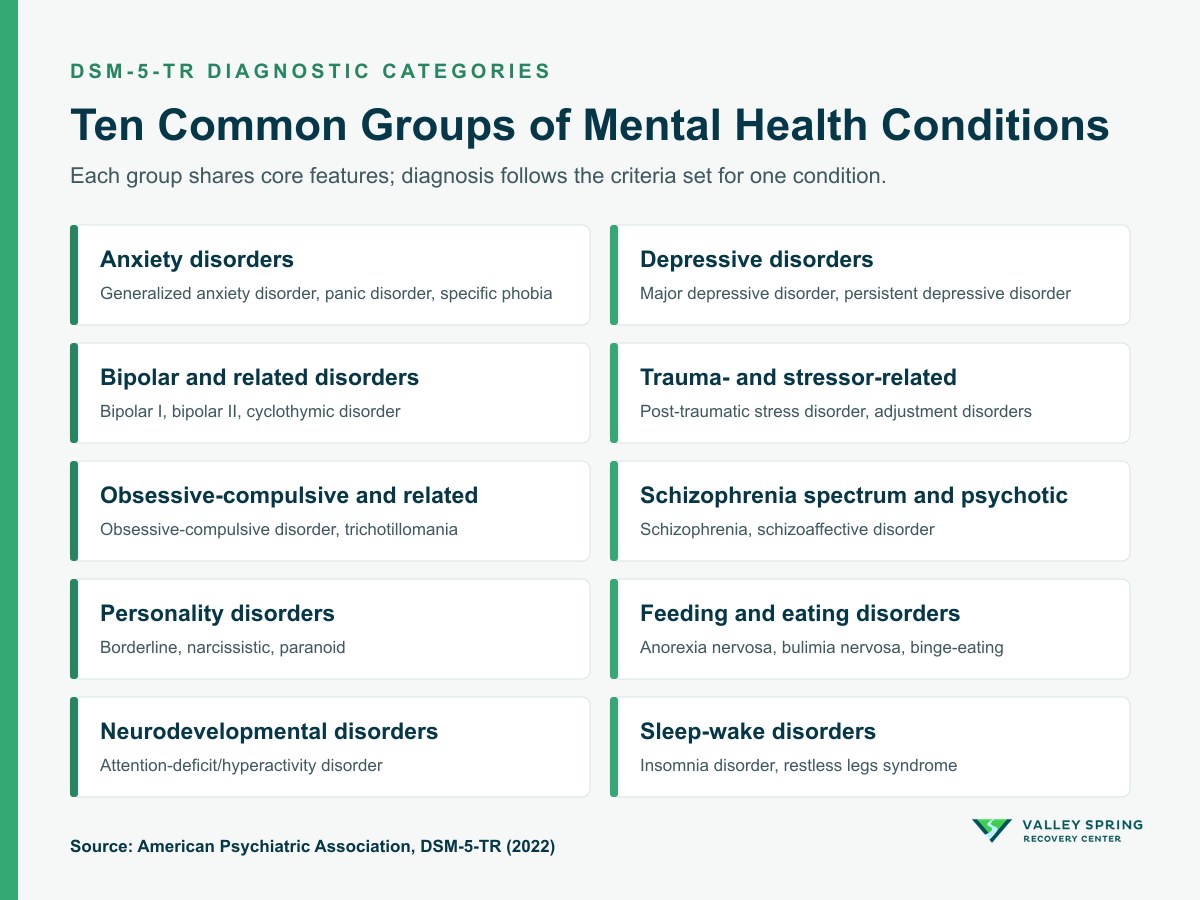 Grid of ten DSM-5-TR categories of mental health conditions with example diagnoses, from anxiety disorders and depressive disorders to neurodevelopmental and sleep-wake disorders