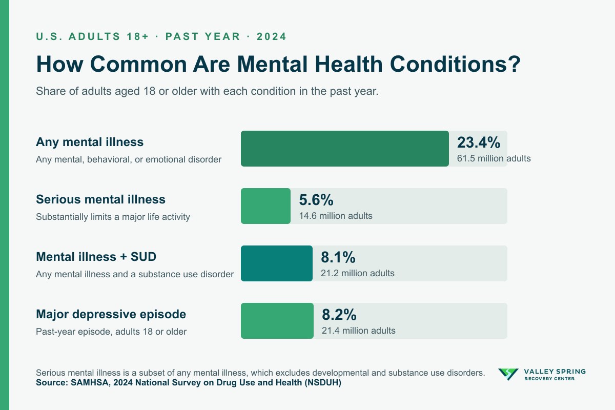 Bar chart of U.S. adults in 2024 from the SAMHSA National Survey on Drug Use and Health: 23.4 percent had any mental illness, 5.6 percent had serious mental illness, 8.1 percent had both a mental illness and a substance use disorder, and 8.2 percent had a major depressive episode