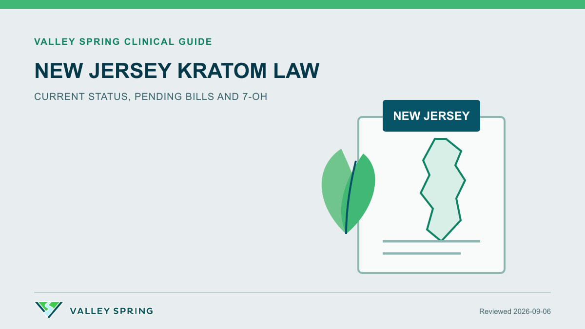 New Jersey outline beside kratom leaves, a legal-status prompt, and Valley Spring Recovery Center branding