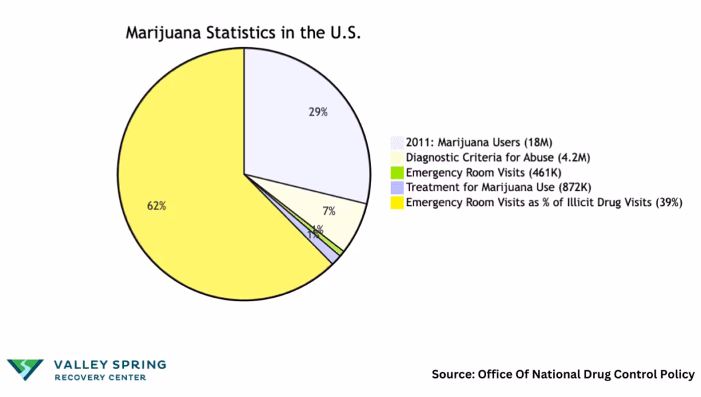 Drug Addiction Statistics: Amount, Types And Overdose Drug Addiction Statistics: Amount, Types And Overdose