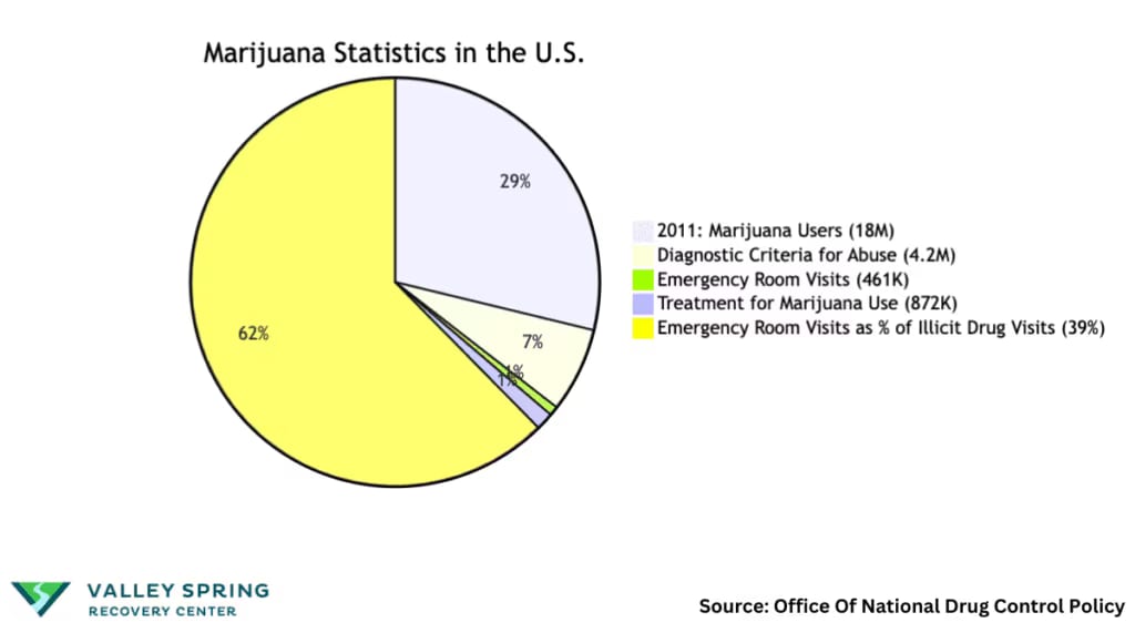Drug Addiction Statistics: Amount, Types And Overdose Drug Addiction Statistics: Amount, Types And Overdose