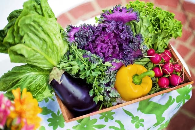Nutrients during addiction recovery