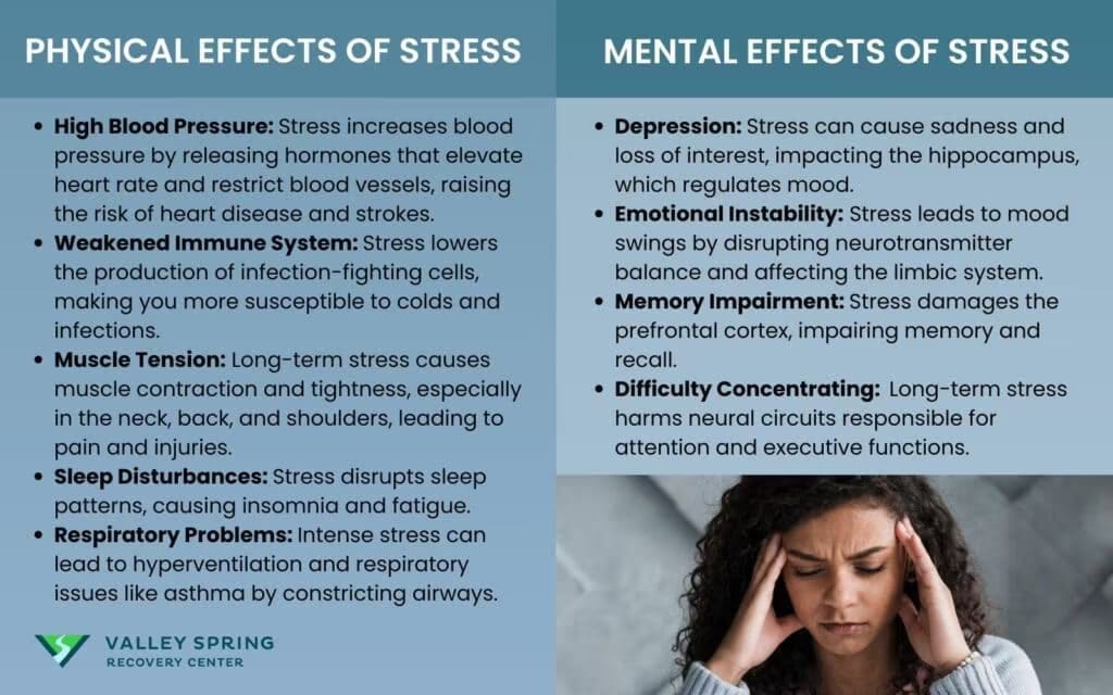 Long-term physical and mental effects of chronic stress on heart, brain, and mood