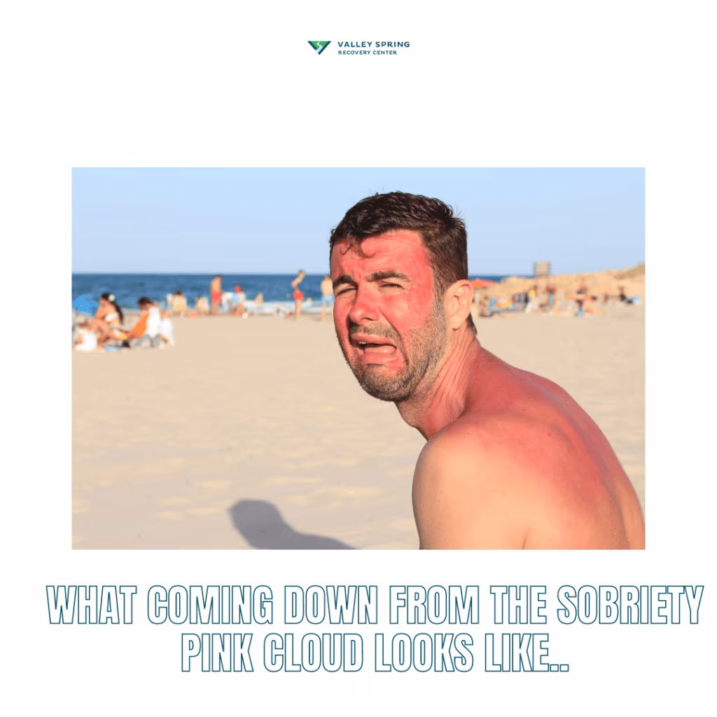 Pink Cloud early Sobriety meme
