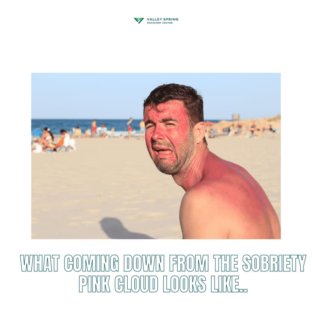 Pink Cloud early Sobriety meme