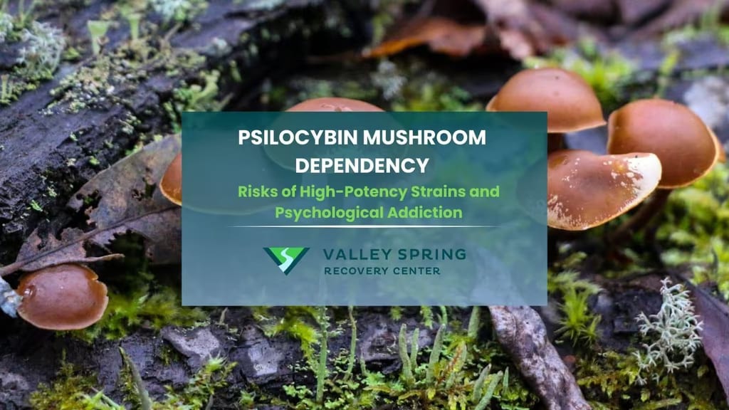 Psilocybin Mushrooms: Types, Symptoms, Effects and Treatment