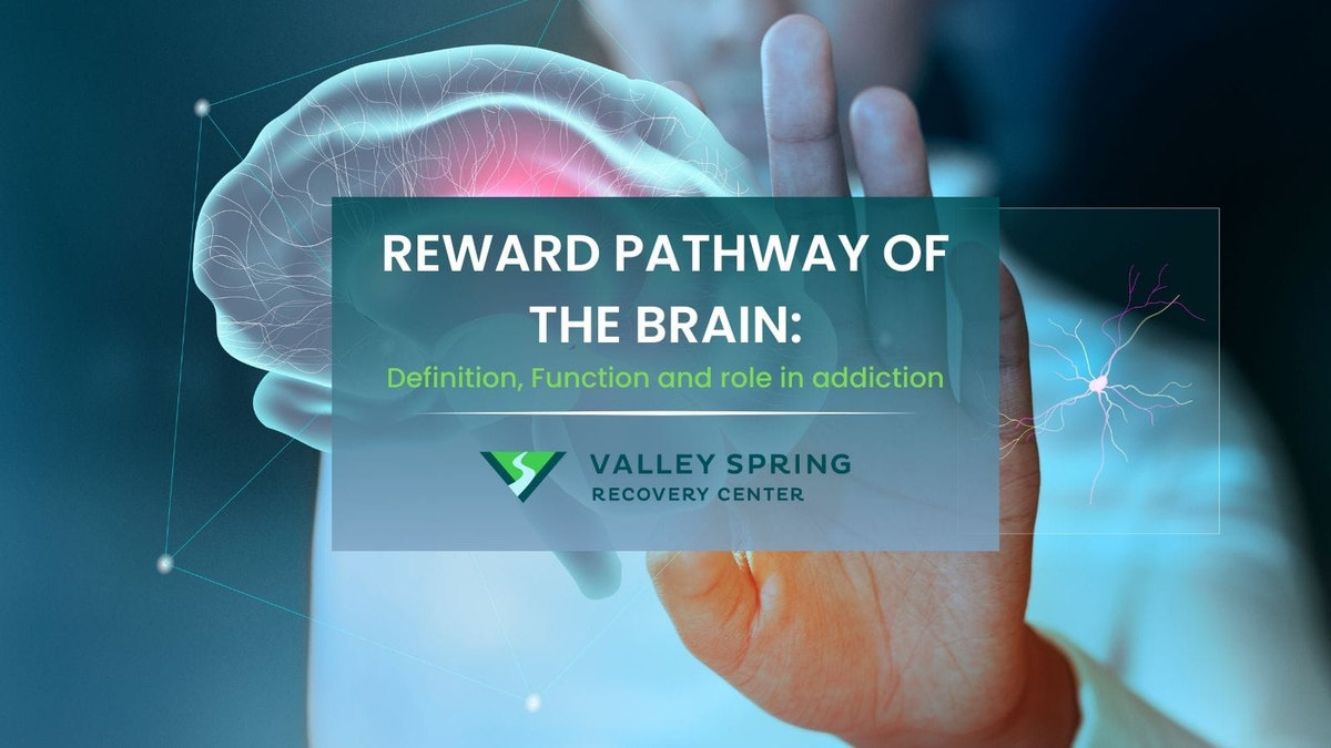 Valley Spring brain and neuron graphic introducing reward pathways, motivation, drug cues, and substance use disorder