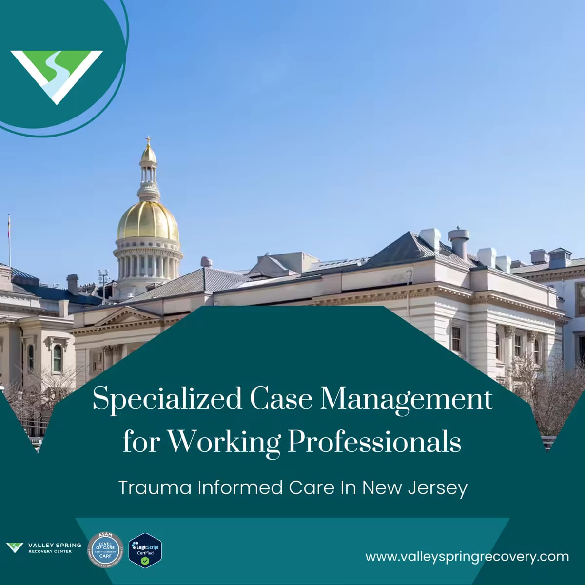 Specialized Case Management for Working Professionals Specialized Case Management for Working Professionals
