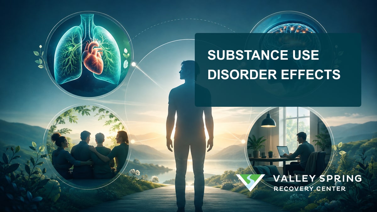 Physical health, brain function, relationships, and daily routines shown as four connected domains affected by substance use disorder