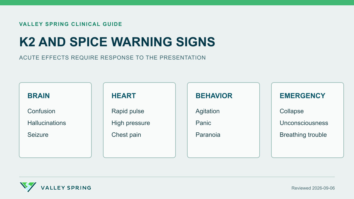K2 and Spice warning signs grouped into neurologic, cardiovascular, psychiatric, and emergency synthetic cannabinoid effects