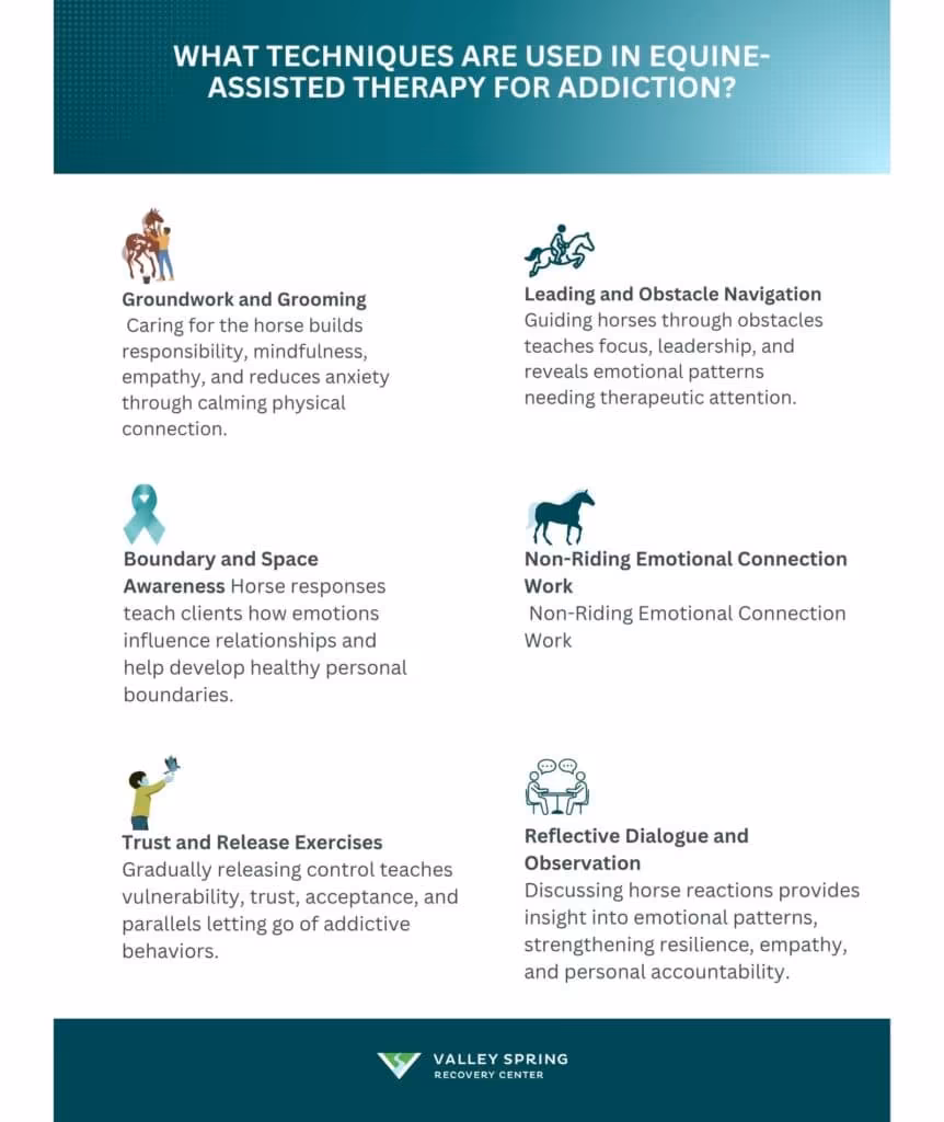 Techniques Used in Equine-Assisted Therapy for Addiction