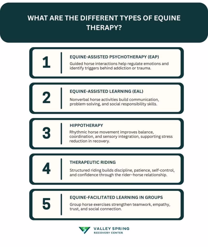 Equine Therapy in Addiction Equine Therapy in Addiction