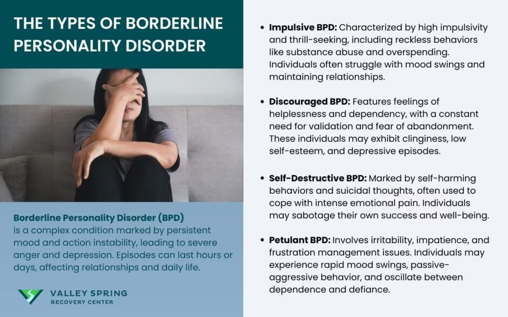 The four described subtypes of borderline personality disorder The four described subtypes of borderline personality disorder