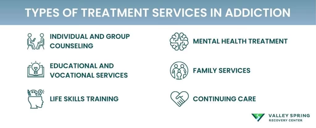 Treatment services used in addiction care including counseling, family services, life skills training and continuing care