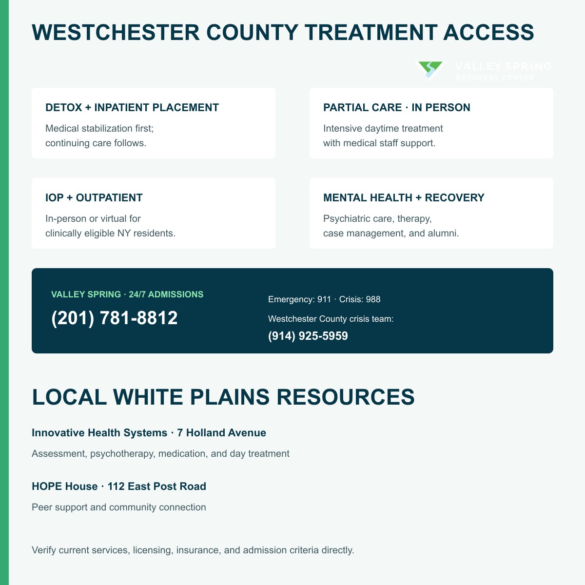 Westchester County treatment pathway diagram connecting detoxification with Partial Care, intensive outpatient rehabilitation, telehealth, admissions, and crisis services