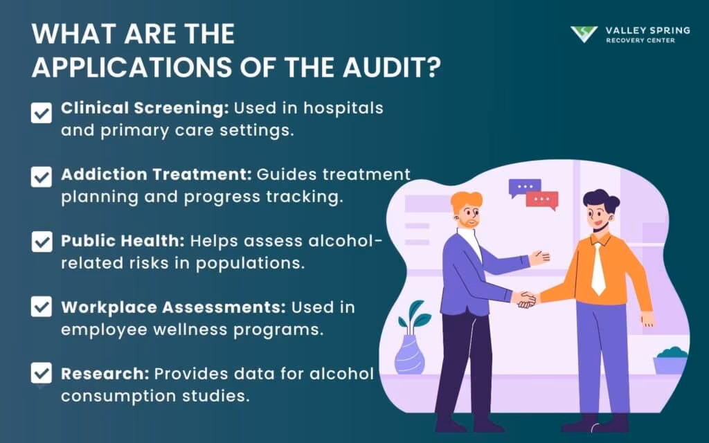 What Are the Applications of the AUDIT