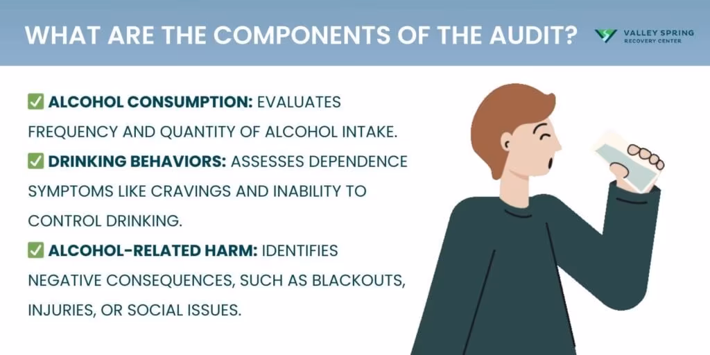 What Are the Components of the AUDIT