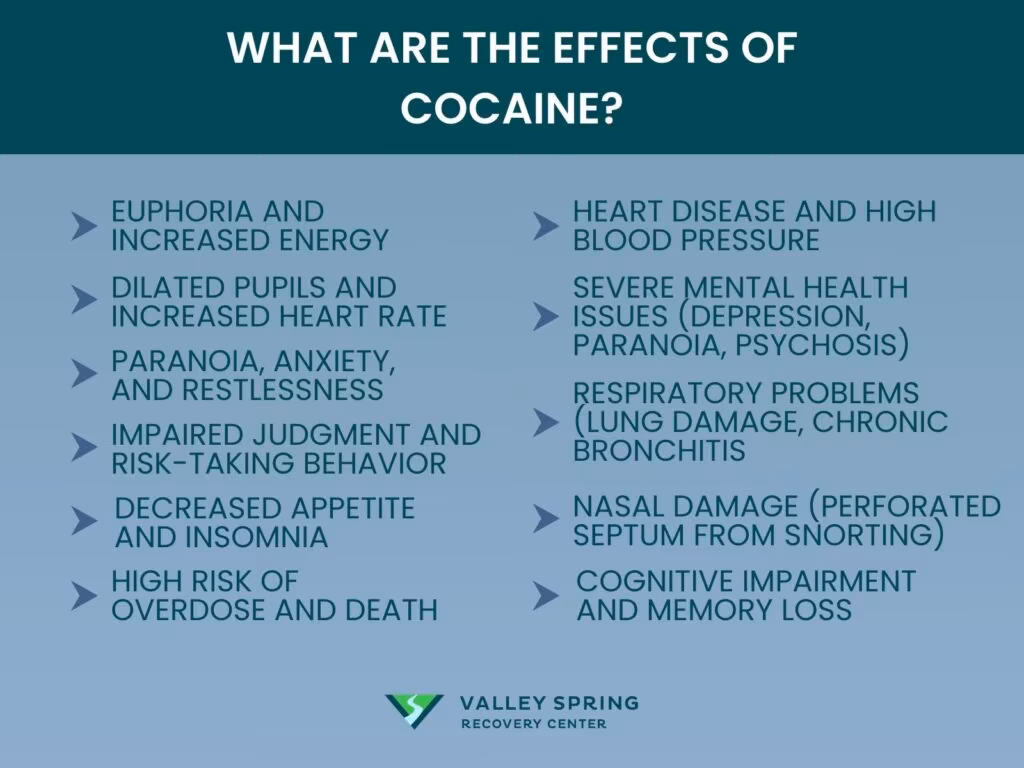What are the Effects of Cocaine