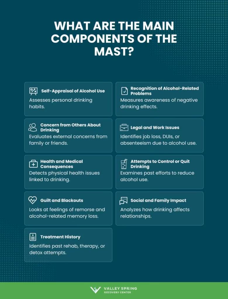 What Are the Main Components of the MAST