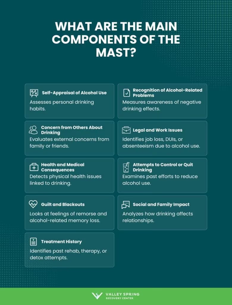MAST questionnaire domains covering drinking history, consequences, concern from others, and prior help